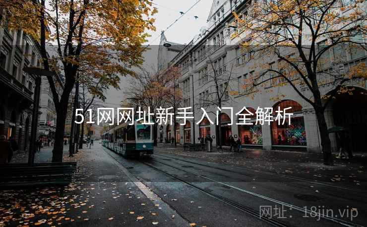 51网网址新手入门全解析