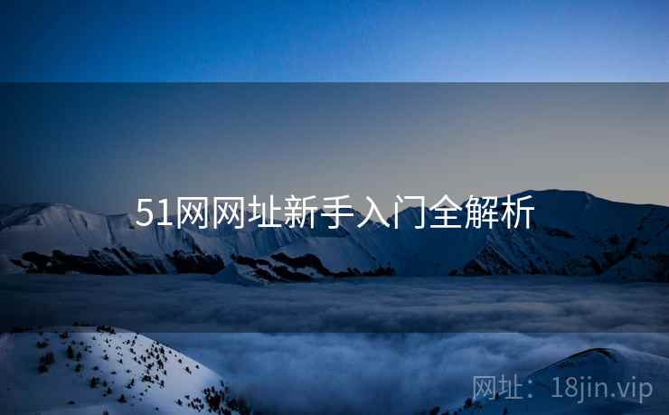 51网网址新手入门全解析 51网网址新手入门全解析
