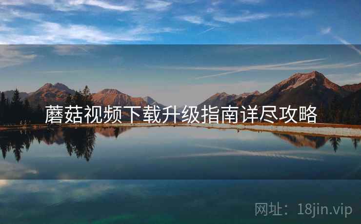 蘑菇视频下载升级指南详尽攻略