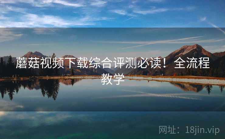 蘑菇视频下载综合评测必读！全流程教学